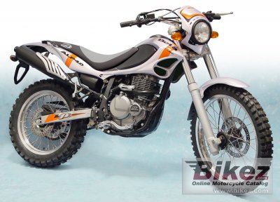 2004 Beta Alp 4.0 photo